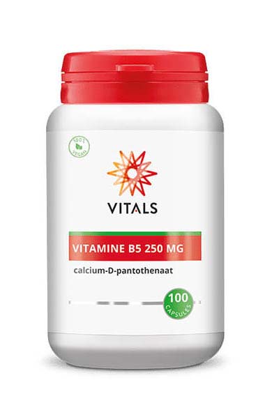 Vitals Vitamine B5 (100 capsules)